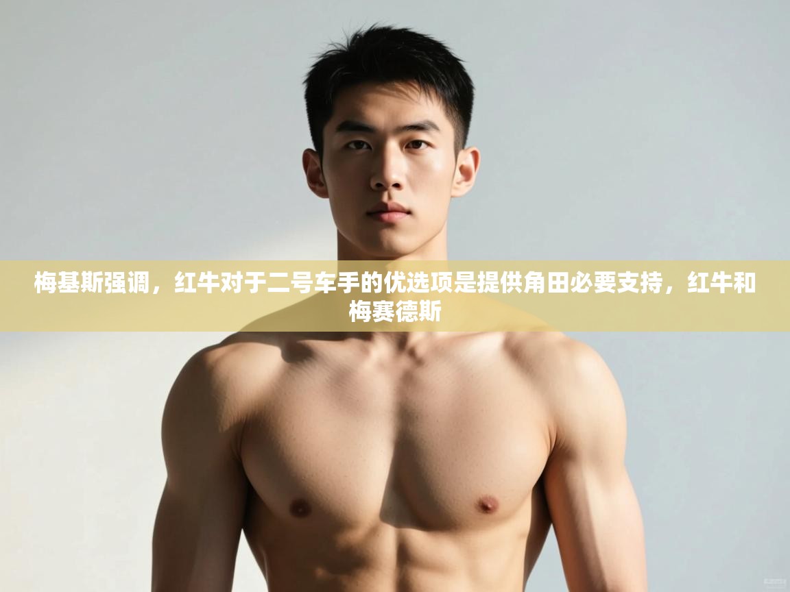 爱游戏体育全站入口-梅基斯强调，红牛对于二号车手的优选项是提供角田必要支持，红牛和梅赛德斯  第1张