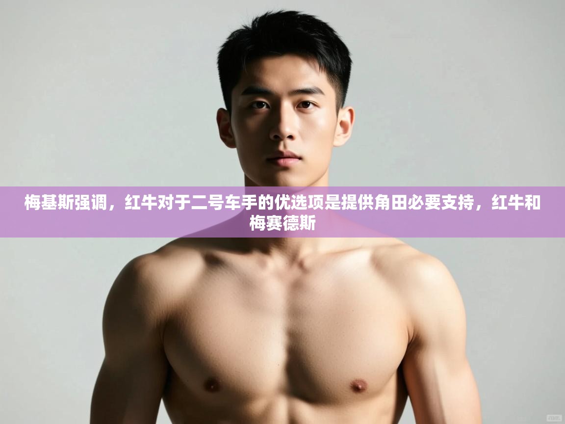 爱游戏体育全站入口-梅基斯强调，红牛对于二号车手的优选项是提供角田必要支持，红牛和梅赛德斯  第3张