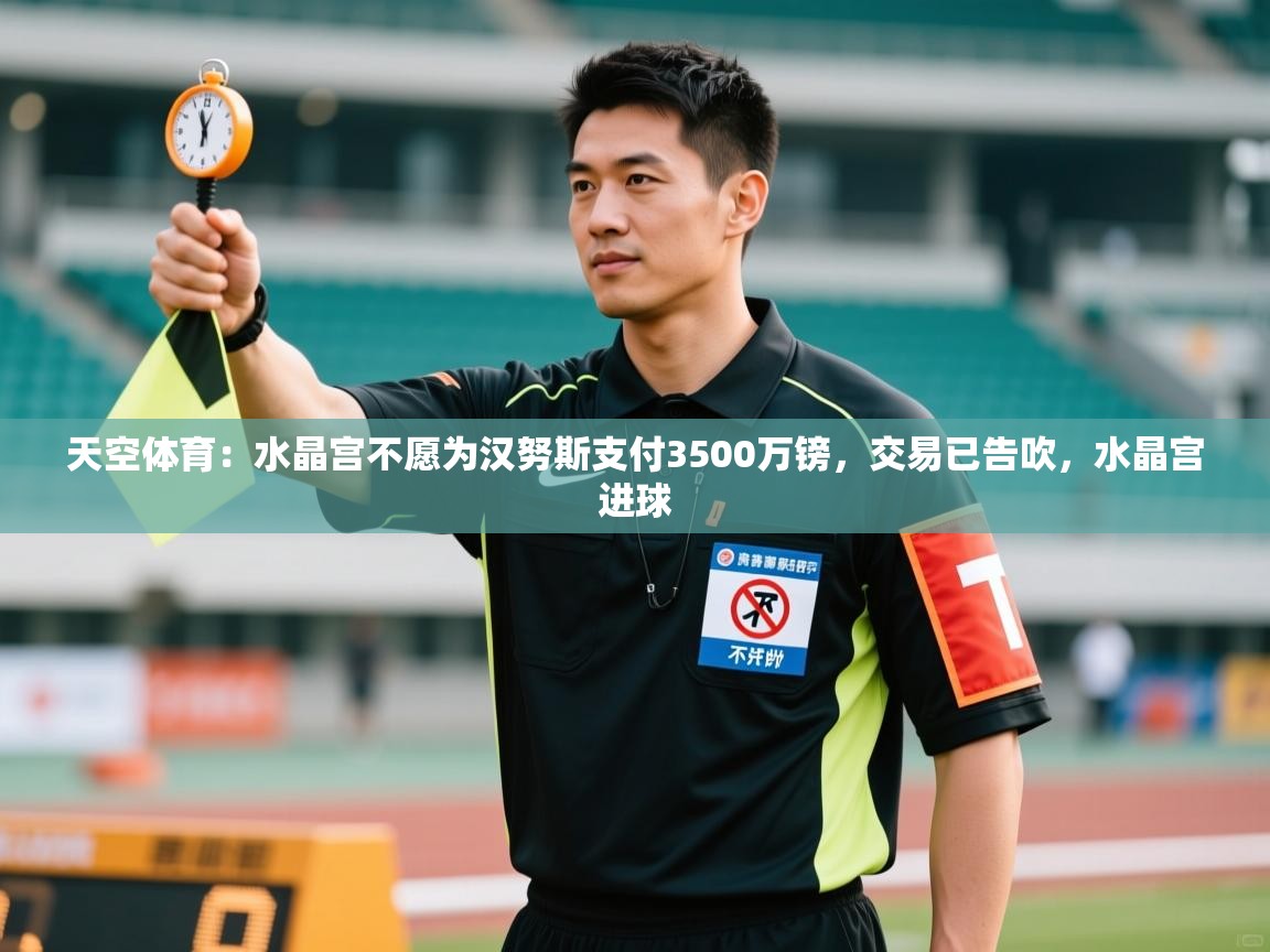 爱游戏体育娱乐-天空体育:水晶宫不愿为汉努斯支付3500万镑,交易已告吹,水晶宫进球 第2张