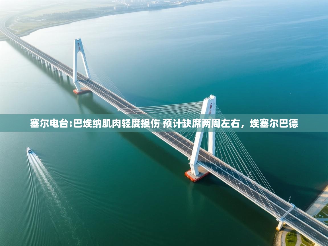 爱游戏体育-塞尔电台:巴埃纳肌肉轻度损伤 预计缺席两周左右,埃塞尔巴德 第2张