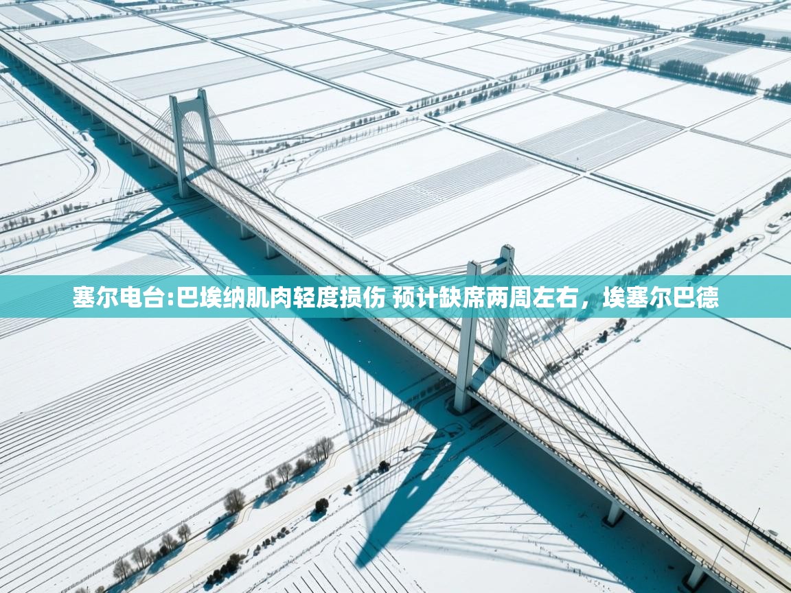 爱游戏体育-塞尔电台:巴埃纳肌肉轻度损伤 预计缺席两周左右,埃塞尔巴德 第3张