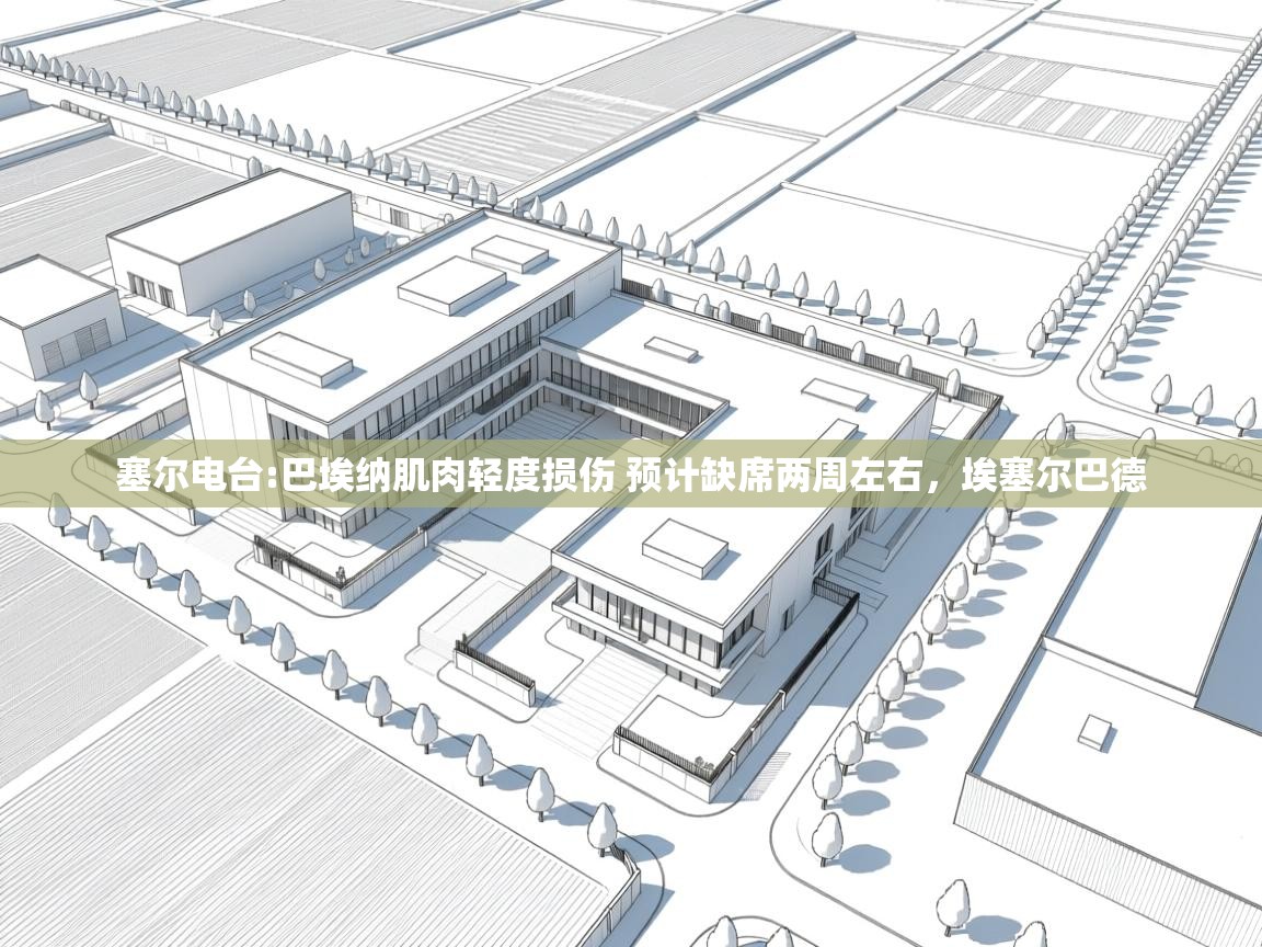 爱游戏体育-塞尔电台:巴埃纳肌肉轻度损伤 预计缺席两周左右,埃塞尔巴德 第4张