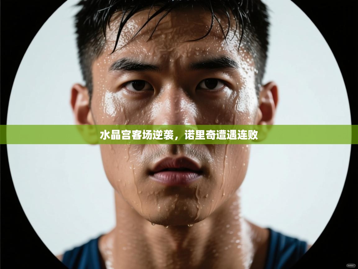 爱游戏体育娱乐-水晶宫客场逆袭，诺里奇遭遇连败  第1张