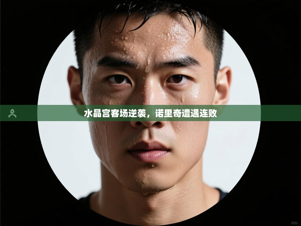 爱游戏体育娱乐-水晶宫客场逆袭，诺里奇遭遇连败  第4张